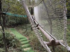 -大雁山风景区