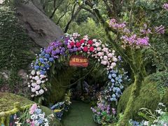 -沂蒙云瀑洞天景区