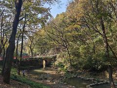 -句容茅山景区
