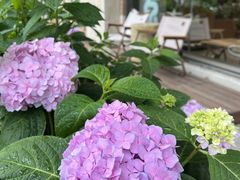 -Beans Solo豆号咖啡(百家湖花园店)