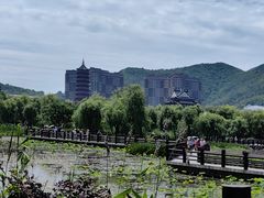 -长兴太湖图影湿地文化园