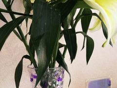 -谦和素食自助餐(云峰花园店)