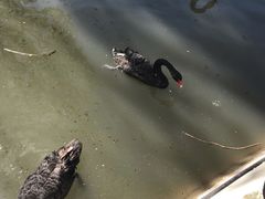 -新疆天山野生动物园