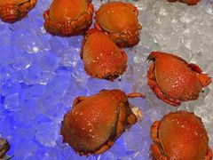 -喜来登酒店-盛宴标帜海鲜自助