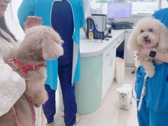 -佳雯宠物医院·皮肤科·内外科(春晓路分院)