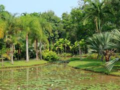 -中国科学院西双版纳热带植物园