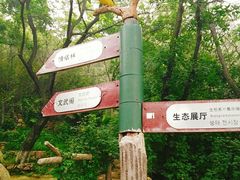 -石老人观光园