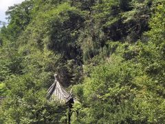 -五龙源极限漂流