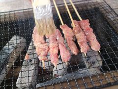 -吴淞炮台湾湿地森林公园烧烤区
