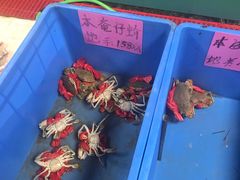 -淇沙湾渔村餐厅