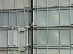 -笨罗卜浏阳菜馆(龙华鹏润达店)