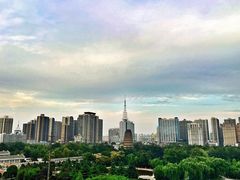-真爱中国餐馆·年华店(朱雀大街店)