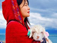 -青海湖国家重点风景名胜区