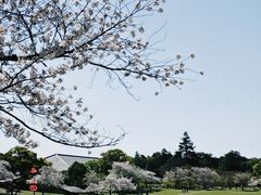 -奈良公园