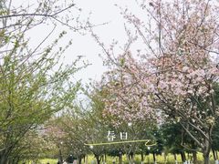 -成都南湖公园