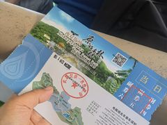 -西双版纳原始森林公园