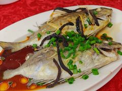 -蛇口康乐快餐鱼仔档(翠苑小区店)