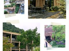 -看见远方·莫干遥远的山民宿