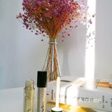 V  NEED  KISS   国货彩妆冲鸭[鸭子]