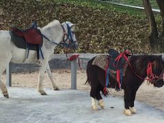 -泉州海丝野生动物世界