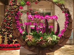 -广州粤海喜来登酒店