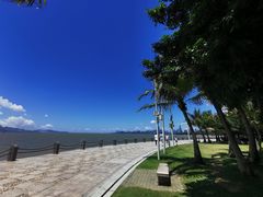 -深圳湾公园(南山区)