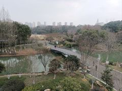 -青枫公园