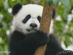 -周鱼小馆石锅酸菜鱼(活力汇店)