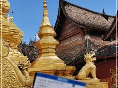 -西双版纳傣族园