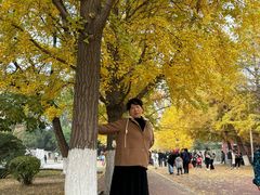 -辽宁大学(崇山校区)