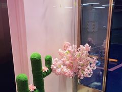 -FAELING PETS美天灵宠物(富力广场店)