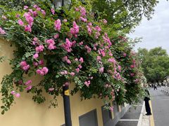 -颐和路民国时期公馆风貌区