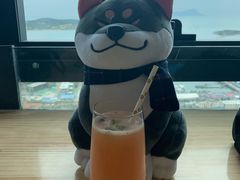 -柴犬小屋·柴餐厅·狗咖食堂(金鼎广场店)