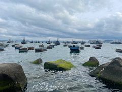 -海源公园