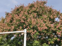 -云漫湖生态度假公园