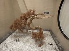 -阿胖龙虾(罍街店)