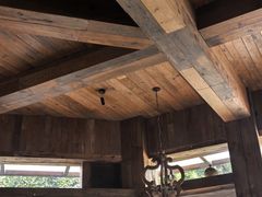 -一棵树·意大利西餐厅One Tree(新城店)