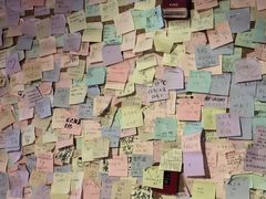-白兔子密室(长寿路店)