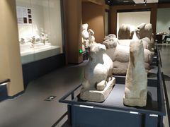 -石羊农庄