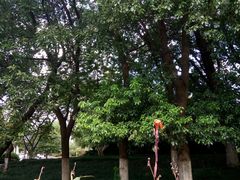 -玉山公园