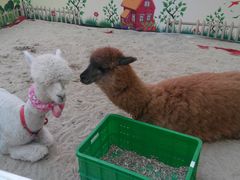 android_upload_pic-万达影城(经区九龙城店)