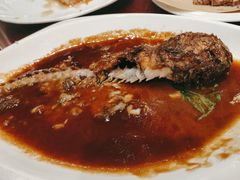 -邵年鸽(杨庄店)