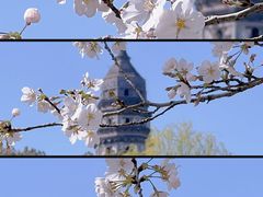 -虎丘山风景名胜区