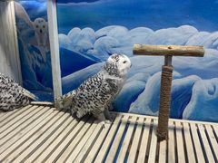 -成都浩海立方海洋公园