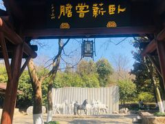 -白马涧龙池景区