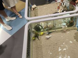 -meland亲子乐园•派对•研学(苏州悠方购物中心店)