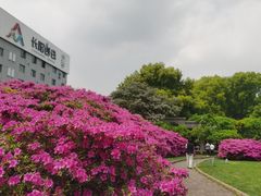 -长阳创谷