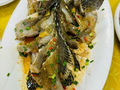清蒸龙胆石斑-青竹园海鲜餐厅(海天路店)