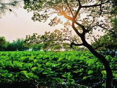 -云龙湖旅游景区