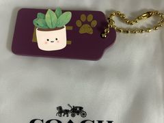 -COACH蔻驰(太古汇店)